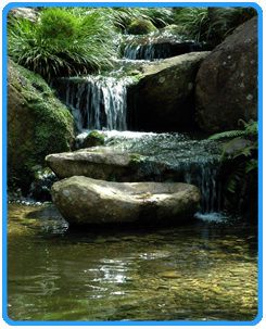 Waterfall in Woodbridge and Manassas VA